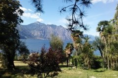 IMG_20160715_160551