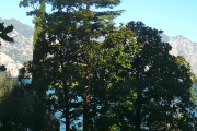 p1090629