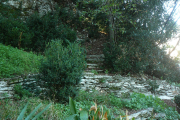 p1090659