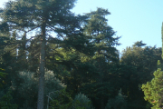 p1090687