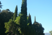 p1090688