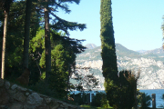 p1090710