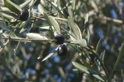 p1090740