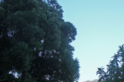 p1060191_edited