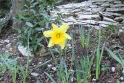 IMG_0519