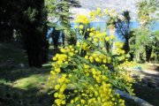 IMG_0535